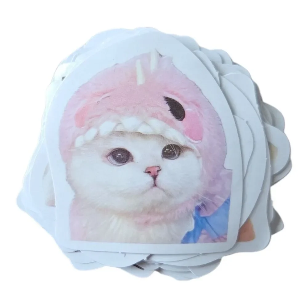 60 Cute Cat Stickers Kawaii Waterproof Vinyl Laptop Water Bottle Journal Scrapbo